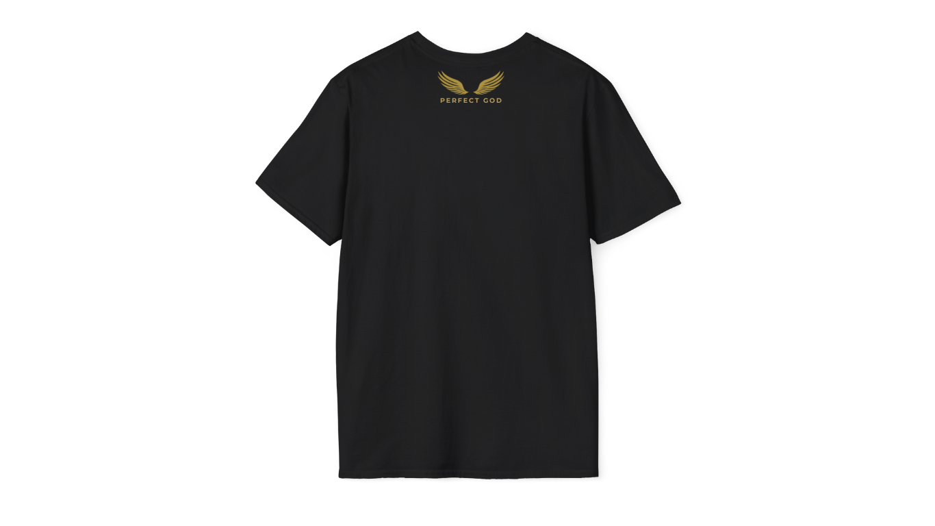 Perfect God Shirt