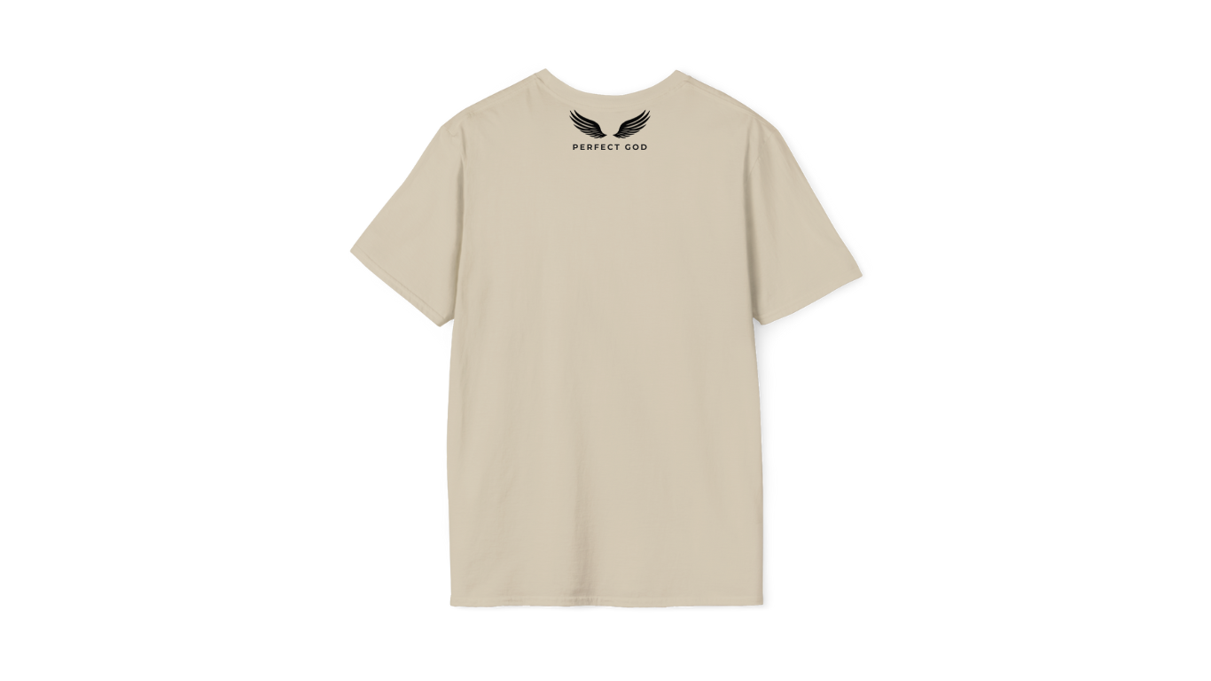 Perfect God Shirt